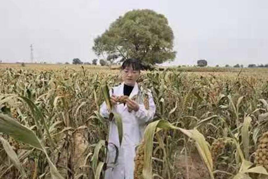 微信图片_20201231163922.jpg